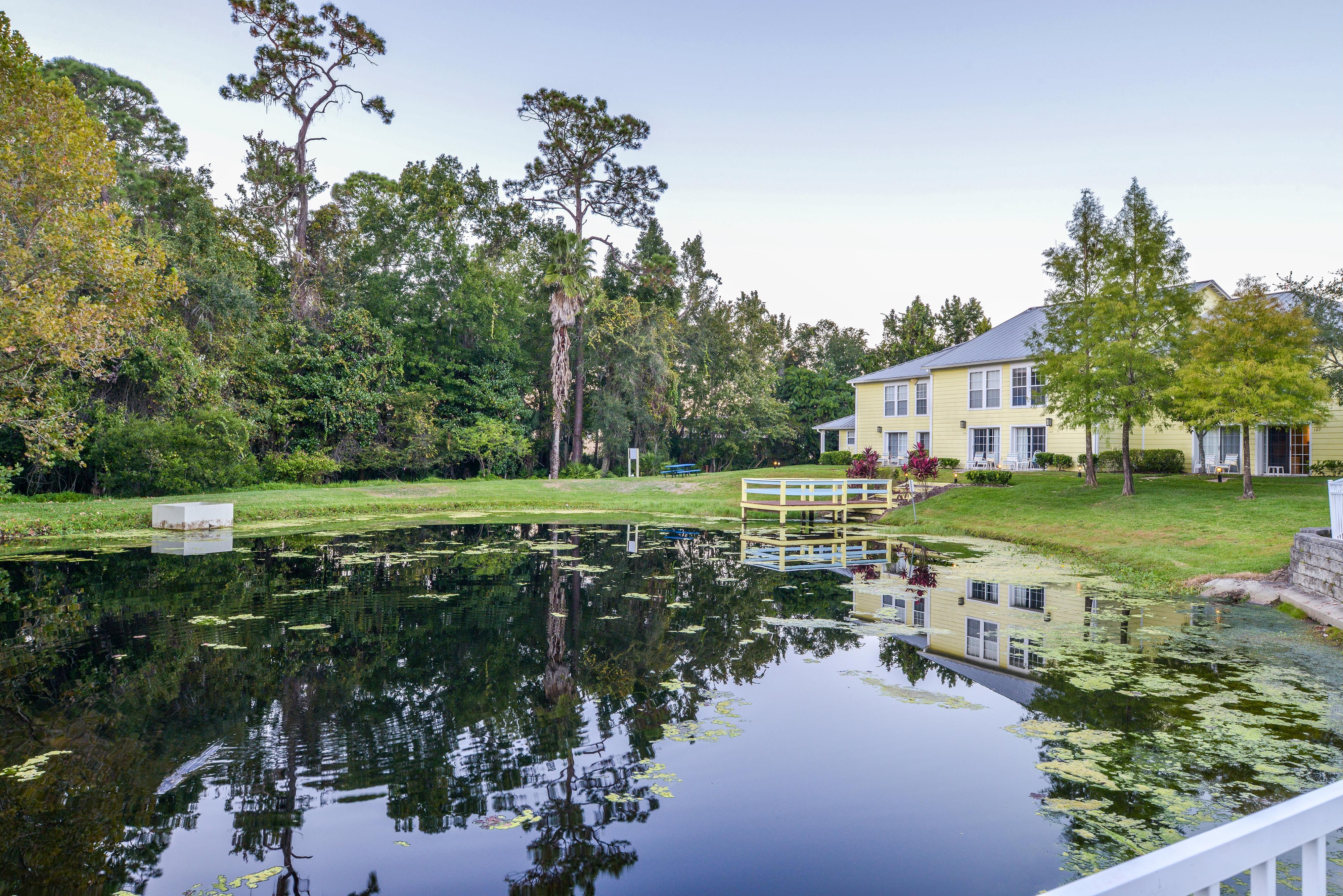 Barefoot Suite Celebration Exterior photo